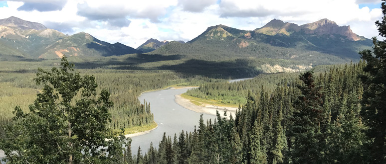 Alaskan scenery from the train