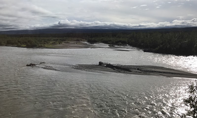 Nenana River seen from the train