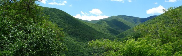 Scenery in the Shipka Pass, Bulgaria