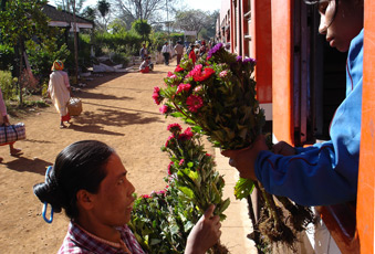 Station trader selling fresh flowers, at a station on the Mandalay - Pyin Oo Lwin - Lashio line.