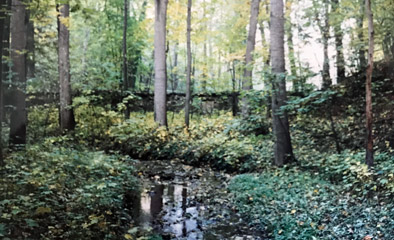 Colditz tiergarten wall in 1992