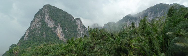 Yet more Thai scenery from the train