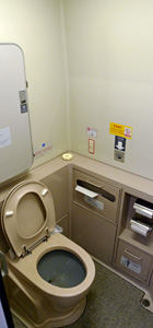 Western-style toilet