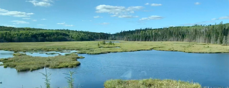 More scenery as the Toronto-Vancouver Canadian crosses the shield