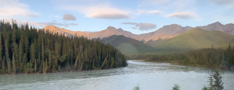 In the Rockies, along the Athabasca River