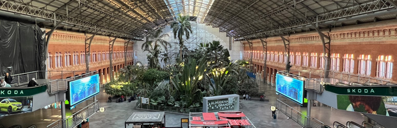 Madrid Atocha station - the tropical garden in the old trainshed