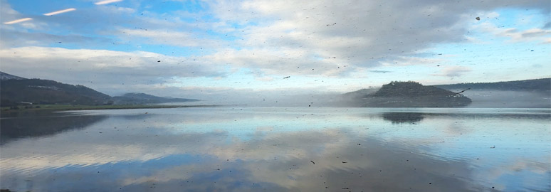 Scenery on the Far North Line from Inverness to Thurso